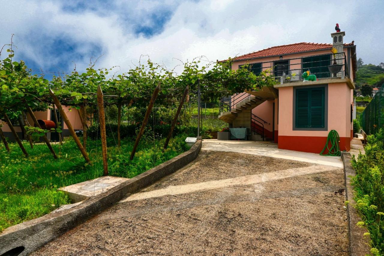 Os Ferreirinhos, A Home In Madeira São Jorge Exterior foto